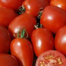 20 Seeds Amish Paste Tomato Indeterminate Organic Non Gmo Easy to Grow