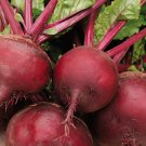 100 Seeds Beetroot Detroit Dark Red Beet Beta Vulgaris Organic Non Gmo Easy to Grow
