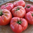 125 Seeds Heirloom Giant Pink Belgium Tomato Organic Non Gmo Easy to Grow