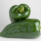30 Seeds Poblano Pepper Heirloom Organic Non Gmo Easy to Grow