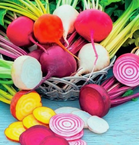 100 Seeds Rainbow Blend Beet Heirloom Organic Non Gmo Easy to Grow