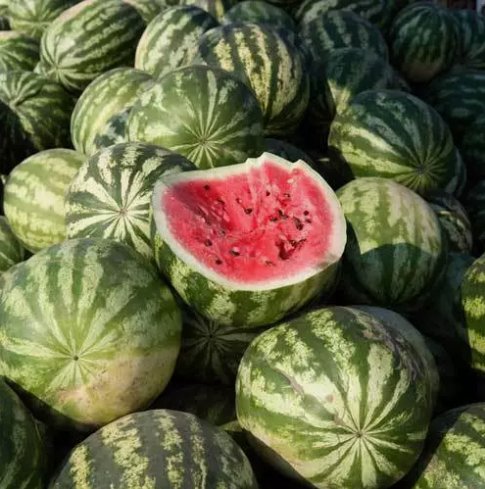 35 Seeds Watermelon Crimson Sweet Fruit Melon Vegetable Organic Non Gmo Easy to Grow