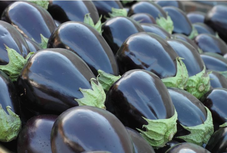 30 Seeds Black Beauty Eggplant Heirloom Organic Non Gmo Easy to Grow