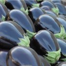 30 Seeds Black Beauty Eggplant Heirloom Organic Non Gmo Easy to Grow