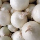250 Seeds White Sweet Spanish Onion Organic Non Gmo Easy to Grow