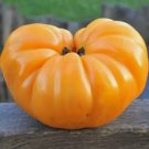 30 Seeds Wyche'S Yellow Beefsteak Tomato Organic Non Gmo Easy to Grow