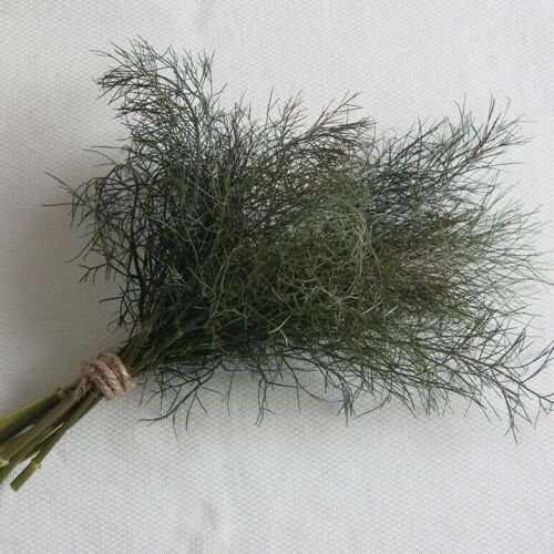 75 Bronze Leaf Fennel Seeds Easy to Grow