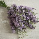40 Larkspur Misty Lavender Seeds Easy to Grow