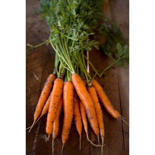 Carrot Seeds Tender Sweet Non Gmo Easy to Grow