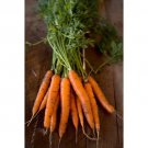 Carrot Seeds Tender Sweet Non Gmo Easy to Grow