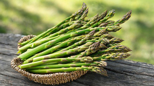 Asparagus Seeds Mary Washingon Vegetable Seeds Non Gmo Easy to Grow