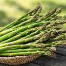Asparagus Seeds Mary Washingon Vegetable Seeds Non Gmo Easy to Grow