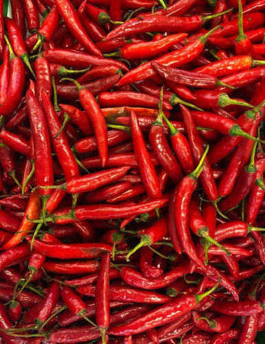 Cayenne Pepper Seeds Pepper Seeds Non Gmo Easy to Grow