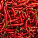 Cayenne Pepper Seeds Pepper Seeds Non Gmo Easy to Grow