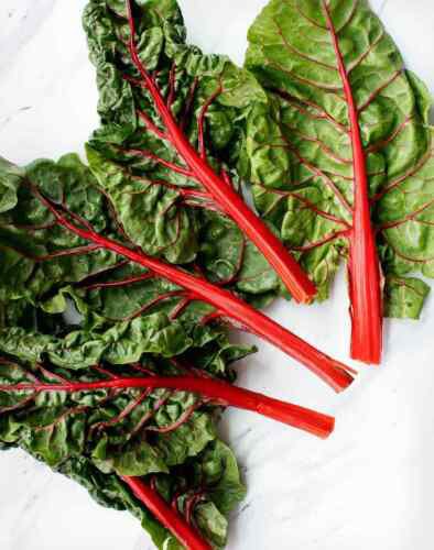 Swiss Chard Seeds Ruby Rednon Gmo Easy to Grow