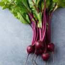 Beet Seeds Red Ace Non Gmo Easy to Grow