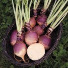 Rutabaga Seeds Laurentian Non Gmo Easy to Grow