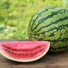 Watermelon Seeds Crimson Fresh Seeds Easy to Grow