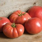 German Johnson Tomato Seeds Tomato Seeds Non Gmo Easy to Grow