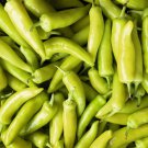 Hungarian Hot Wax Pepper Seeds Pepper Seeds Non Gmo Easy to Grow