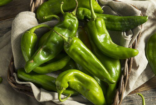 Anaheim Chili Pepper Seeds Pepper Seeds Non Gmo Easy to Grow