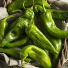 Anaheim Chili Pepper Seeds Pepper Seeds Non Gmo Easy to Grow