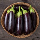 Eggplant Seeds Black Beauty  Easy to Grow