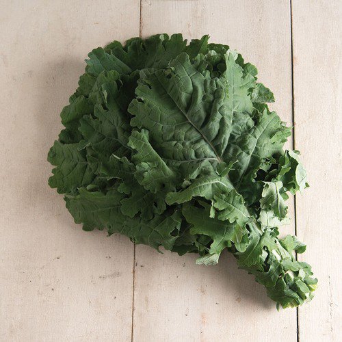 Kale Seeds White Russian Kale Vegetable Seeds Non Gmo Easy to Grow