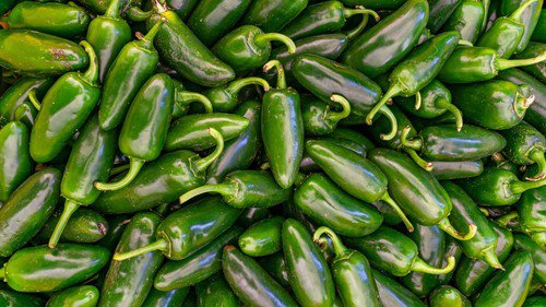 Jalapeno Pepper Seeds Pepper Seeds Non Gmo Easy to Grow