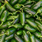 Jalapeno Pepper Seeds Pepper Seeds Non Gmo Easy to Grow