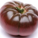 Cherokee Tomato Seeds Tomato Seeds Non Gmo Easy to Grow