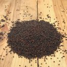 Turnip Seeds Shogoin Non Gmo Easy to Grow