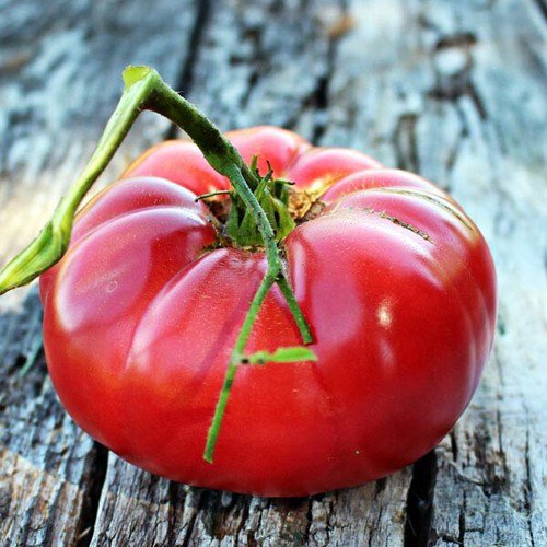Brandywine Pink Tomato Seeds Tomato Seeds Non Gmo Easy to Grow