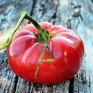 Brandywine Pink Tomato Seeds Tomato Seeds Non Gmo Easy to Grow