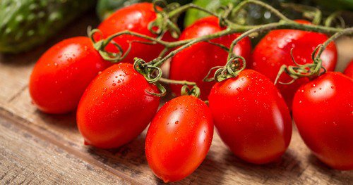 Roma Tomato Seeds Tomato Seeds Non Gmo Easy to Grow