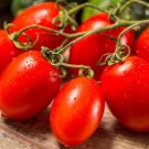 Roma Tomato Seeds Tomato Seeds Non Gmo Easy to Grow