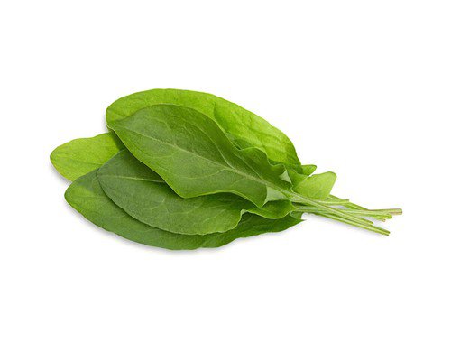 Sorrel Seeds Vegetable Seeds Non Gmo Easy to Grow