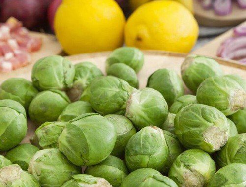 Long Island Improved Brussels Sprouts Seeds Non Gmo Heirloom  Easy to Grow