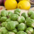 Long Island Improved Brussels Sprouts Seeds Non Gmo Heirloom  Easy to Grow