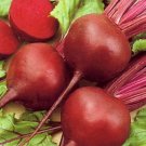 Early Wonder Beet Seeds Non Gmo Non Gmo  Easy to Grow
