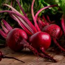 Ruby Queen Beet Seeds Non Gmo Non Gmo  Easy to Grow