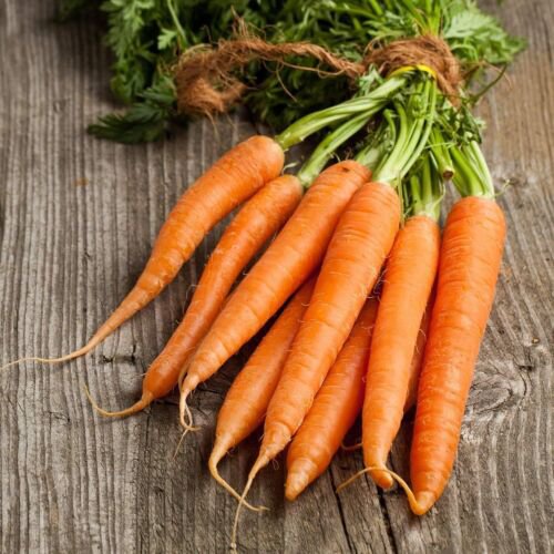 Kuroda Long 8 Carrot Seeds Heirloom Asian Japanese Non Gmo  Easy to Grow