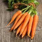 Kuroda Long 8 Carrot Seeds Heirloom Asian Japanese Non Gmo  Easy to Grow