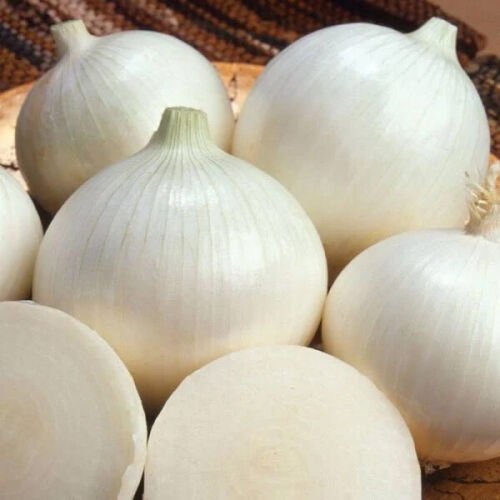 Sweet White Spanish Onion Seeds Organic Heirloom Non Gmo  Easy to Grow