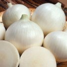 Sweet White Spanish Onion Seeds Organic Heirloom Non Gmo  Easy to Grow