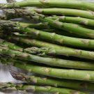 50 Organic Mary Washington Asparagus Seeds Non Gmo Heirloom  Easy to Grow