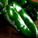 75 Poblano Pepper Seeds Ancho Grande Non Gmo Heirloom  Easy to Grow