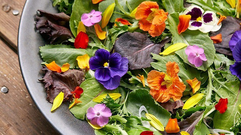 100 Edible Flower Seed Mix Organic Easy to Grow
