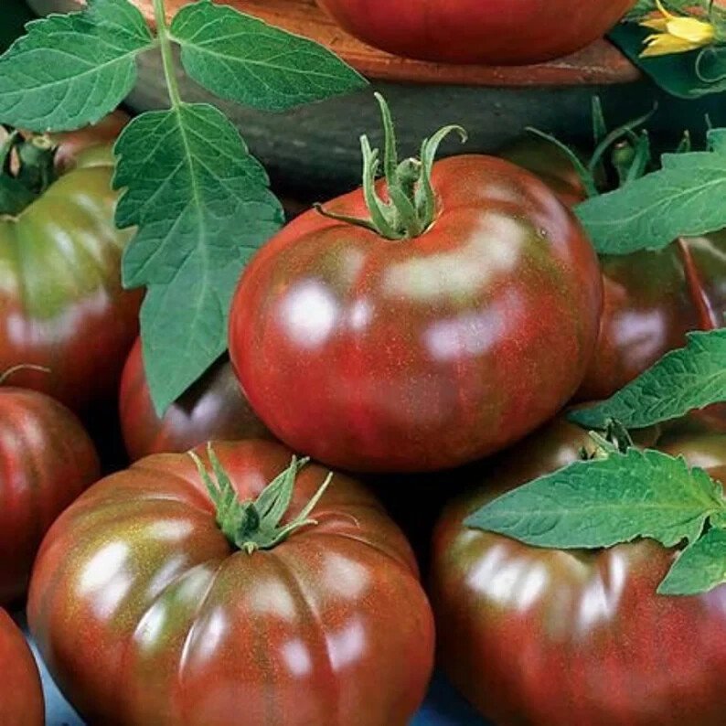 40 Chef'S Choice Black Tomato Seeds Organic Easy to Grow