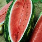 50 Congo Watermelon Seeds Organic Easy to Grow 50 Congo Watermelon Seeds Organic Easy to Grow